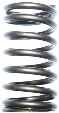 VALVE SPRING