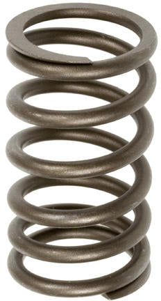 VALVE SPRING