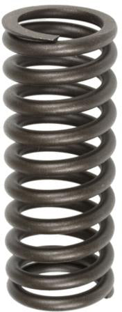 VALVE SPRING